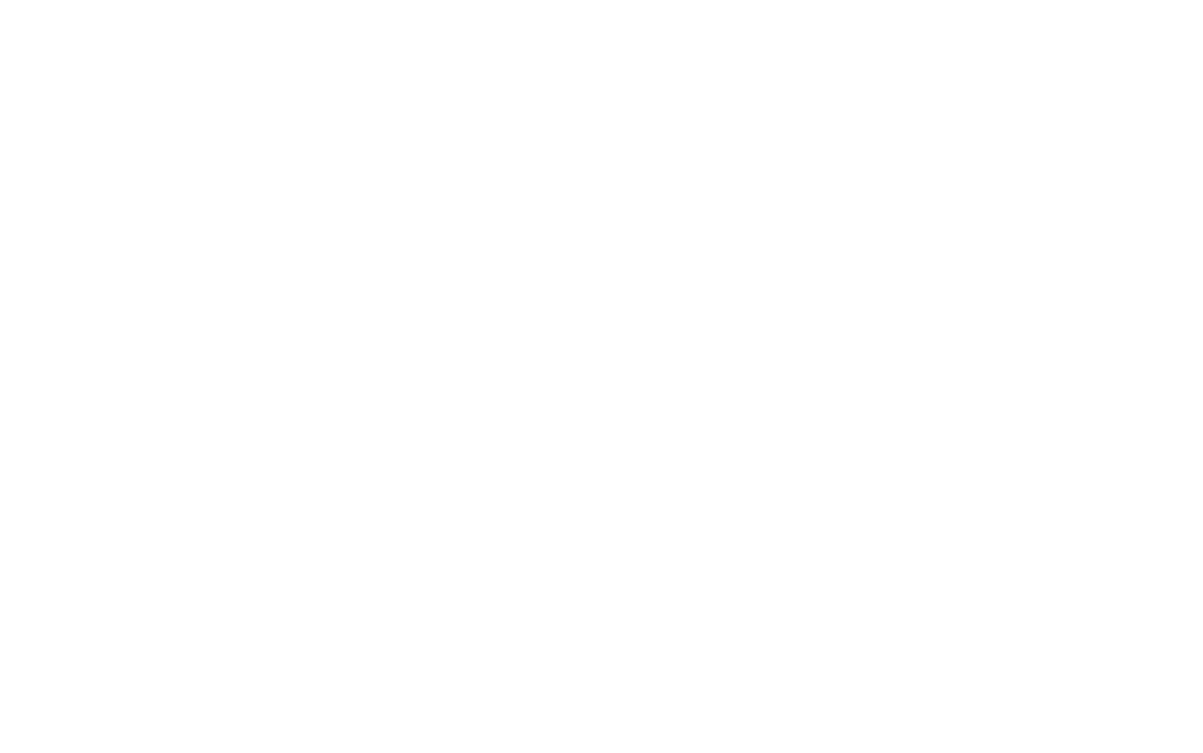 Zelsor